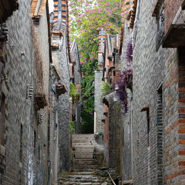 謝叢村 🏡🏞️古老村落的魅力 🌾🏘️