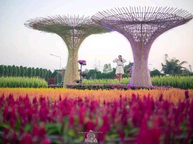 สวนดอกไม้สุดอลังการ @ กาญจนบุรี