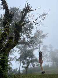 นักผจญภัยตัวน้อย💕🌳