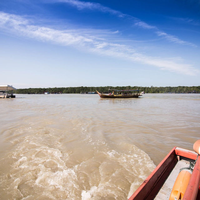 Coastal Adventure on a Boat Ride at Kukup