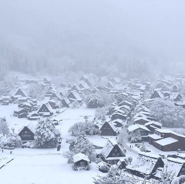 겨울왕국 시라카와고❄️