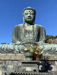 絶対行くべき鎌倉の大仏様