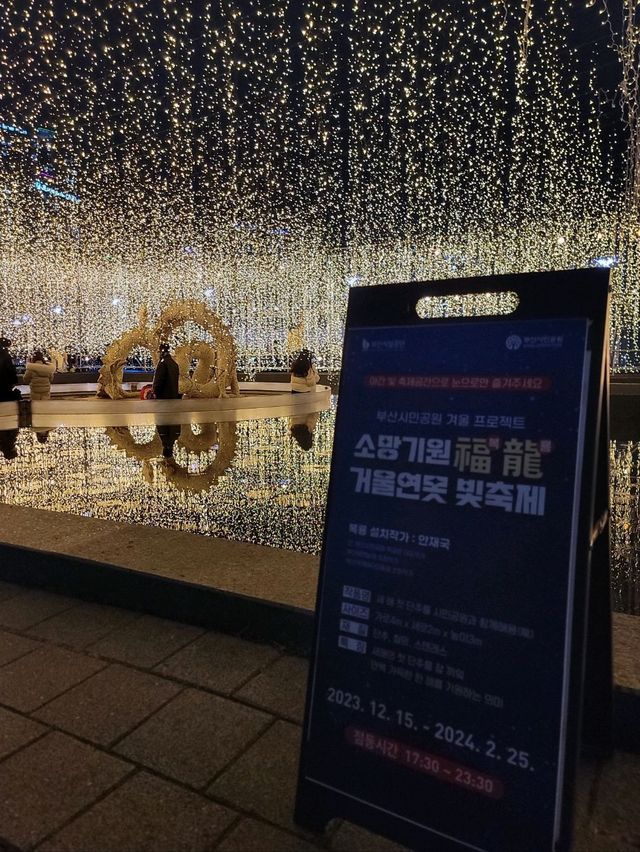 별빛이 쏟아지는 올겨울 젤핫한 부산 빛축제✨️