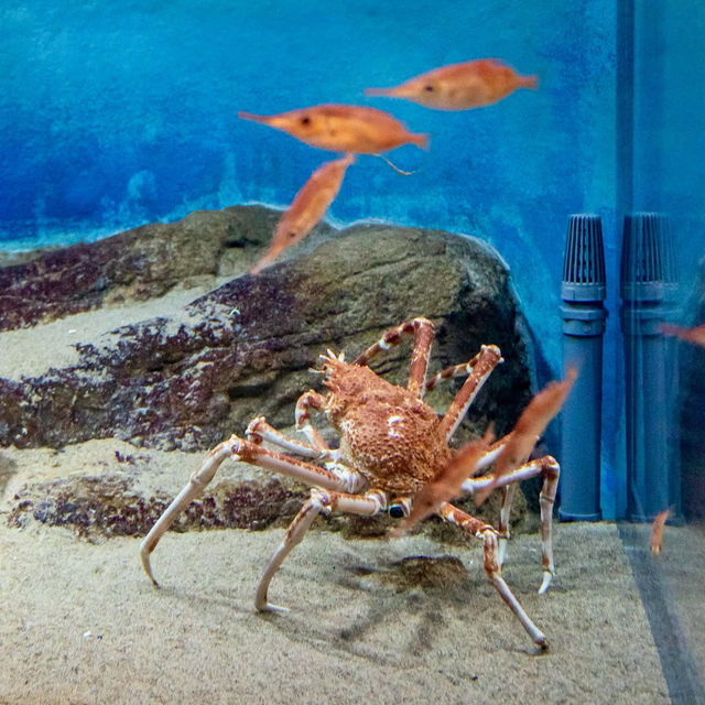 Kinosaki Marine World