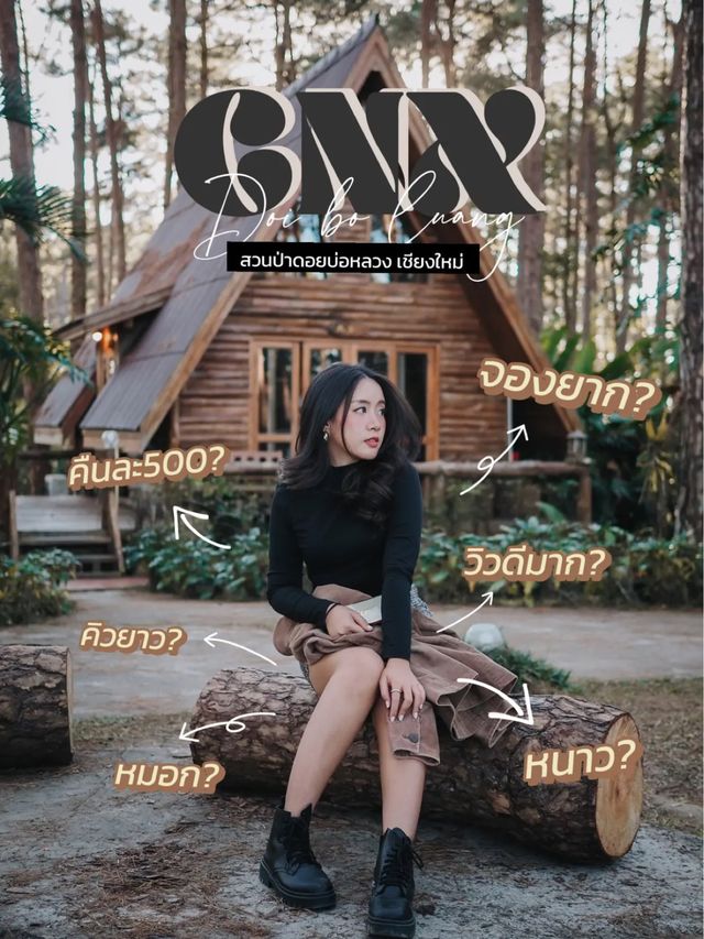 พาไปป่าสนเชียงใหม่ ที่ขึ้นชื่อเรื่องจองยากมากก 🪵🌲