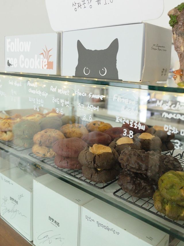 【韓国】釜山駅からすぐのマカロン屋さん❤︎True Macaron