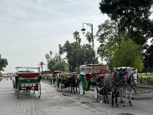 《摩洛哥-馬拉喀什 Morocco Marrakech》 