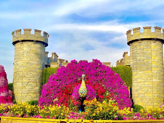 Dubai Miracle Garden