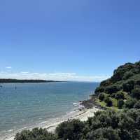 Captivated by Tauranga’s beauty 