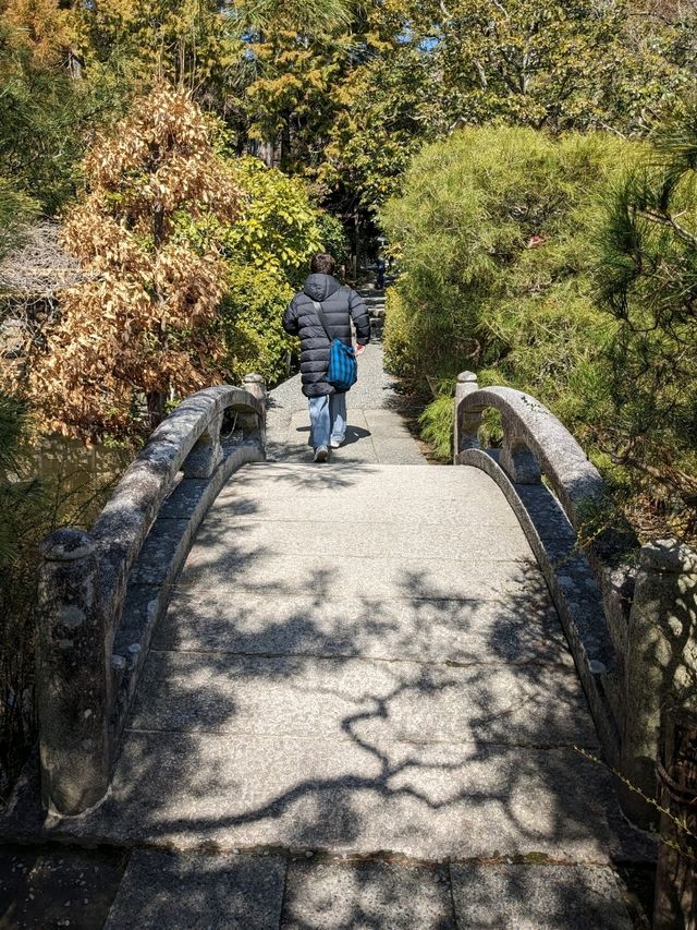龍安寺の境内の鏡容池(おしどり池)の、水分石(みくまり石)の上には、２羽の鳥が仲良く並んでいた