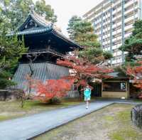 เที่ยวเมืองเก่า Hakata Old Town @ Fukuoka 🏯