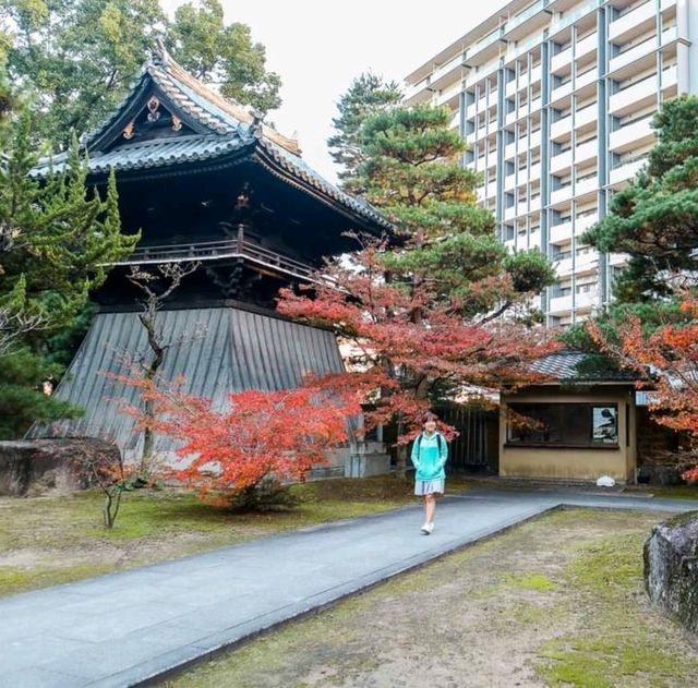 เที่ยวเมืองเก่า Hakata Old Town @ Fukuoka 🏯