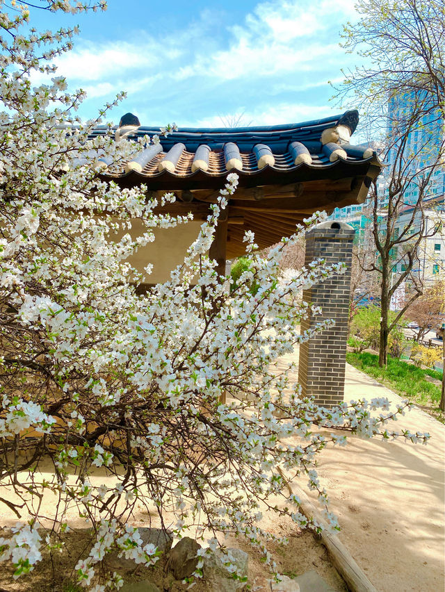 접근성 최고💯 서울 봄데이트 필수 코스는 여기🫶🏻