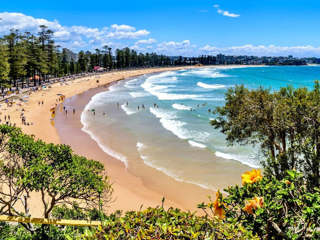 Manly Beach