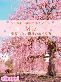 【三重】一生に一度は見たい！梅の絶景
