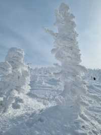 Winter wonders at Zao, Snow Monster
