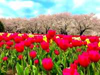 Fukaya Green Park