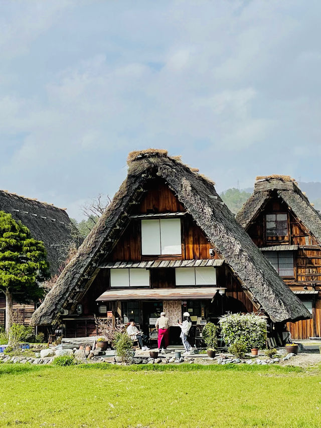 【絶景】一生に一度は行きたい！春の絶景が待つ白川郷へ🌸