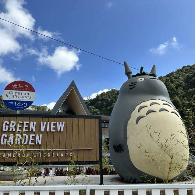 Cameron Highlands 