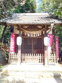 【前玉神社／埼玉県】古墳上に建つ社殿と花手水