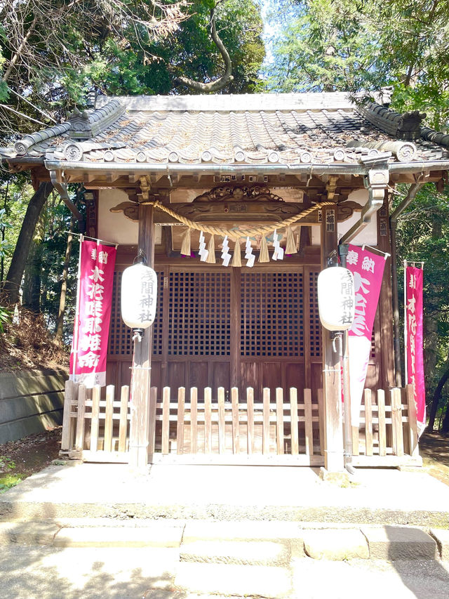 【前玉神社／埼玉県】古墳上に建つ社殿と花手水