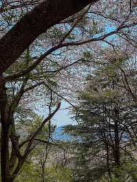 초보자도 등산할 수 있는 부산 황령산 등산코스💚