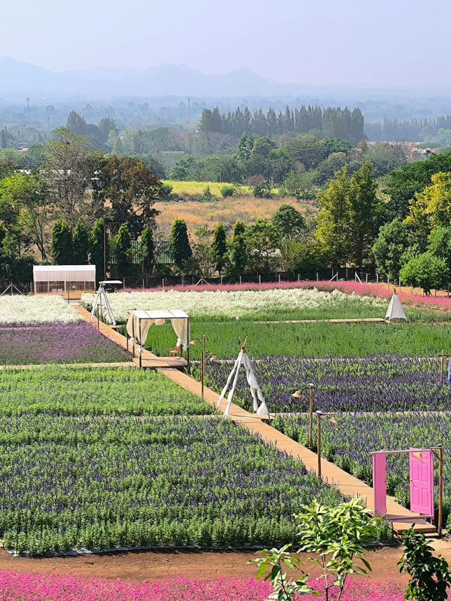 The Peak Flower Land 💐