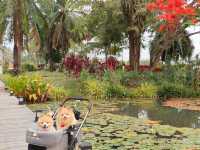 คาเฟ่สุดสวยสไตล์ยุโรปแห่งเมืองนครนายก
