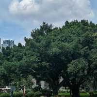 澳門水塘公園：世外桃源