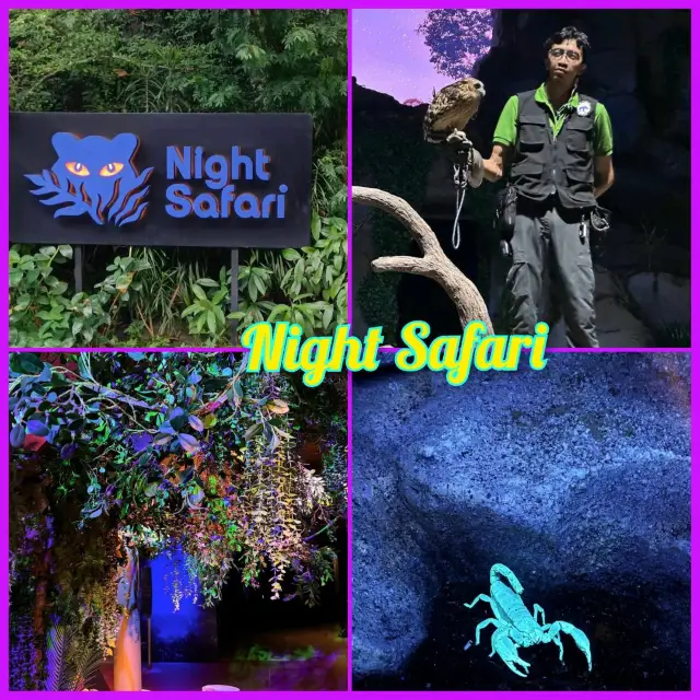新加坡夜間野生動物園《Night Safari》：近距離觀察可愛動物，值得一遊