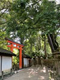 【奈良県】藤の名所「春日大社」へ