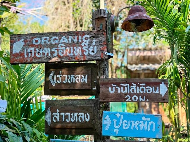 คาเฟ่โฮมมี่เปิดเฉพาะเสาร์-อาทิตย์ กิจกรรมเพียบ
