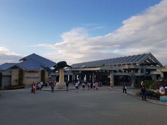 🌊ท่องโลกใต้ทะเลที่ Okinawa Churaumi Aquarium