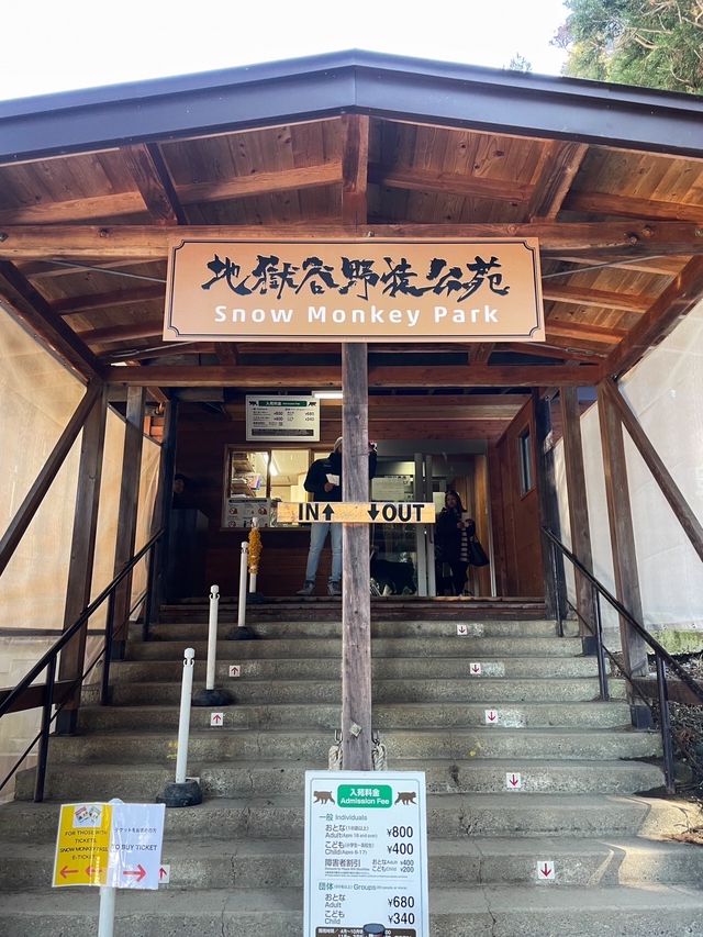【長野】世界で唯一温泉に入るサルを間近で見れる場所