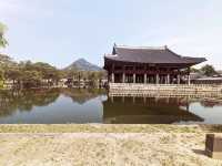 Visit Gyeongbokgung Palace 