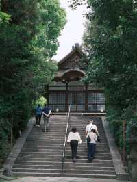 京都 | 宇治一日遊 造訪抹茶之鄉🍵