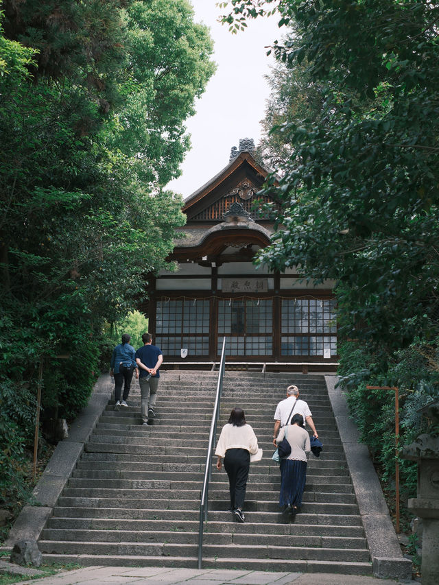 京都 | 宇治一日遊 造訪抹茶之鄉🍵