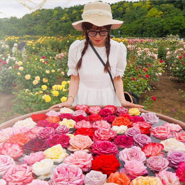 【千葉】花と緑のテーマパーク🌷