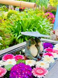 【紫陽花に変化‼️花手水で有名の法輪寺】