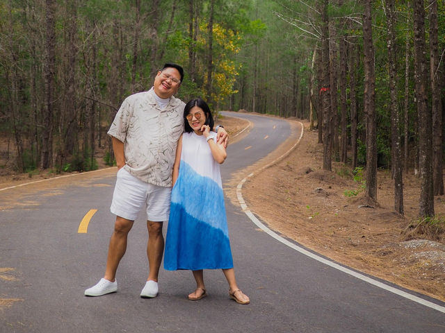 ป่าสนเหมืองแร่ เงียบสงบ ถ่ายรูปสวย