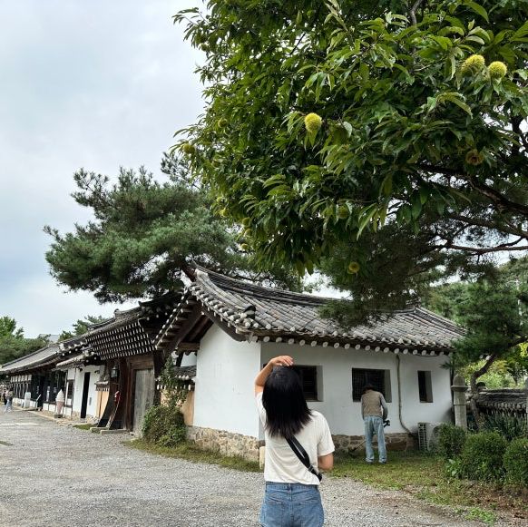 파주 한옥 카페 '아티장 베이커스' 한옥 분위기 좋은 곳