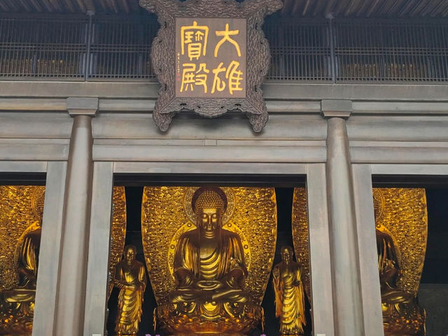 【香港】大埔慈山寺：高76米青銅觀音聖像，個人遊覽需網上登記