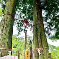 【佐賀県武雄市】武雄神社