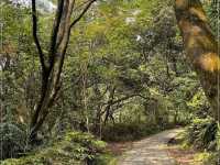 【士林】碧溪步道：春天好去處，連接大崙頭尾山