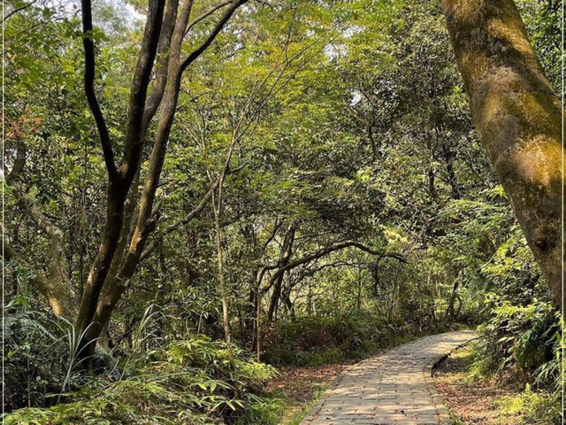 【士林】碧溪步道：春天好去處，連接大崙頭尾山
