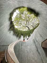 Fort Canning Tree Tunnel in Singapore