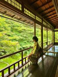 〜京都府〜暑くない！むしろ涼しい絶景🌱青紅葉のリフレクション