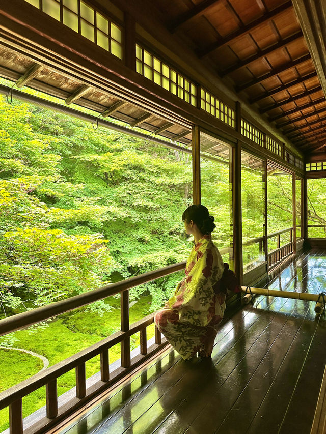 〜京都府〜暑くない！むしろ涼しい絶景🌱青紅葉のリフレクション