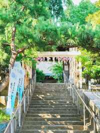 都内紫陽花映えスポット🪷🎐🎐🫧【法輪寺】