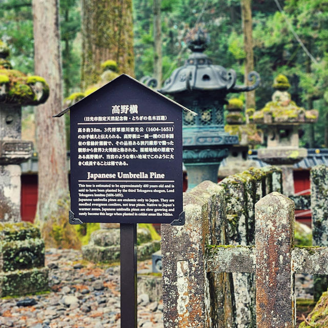 Gilded Grandeur: Nikkō Tōshō-gū Shrine Awe-Inspires!
